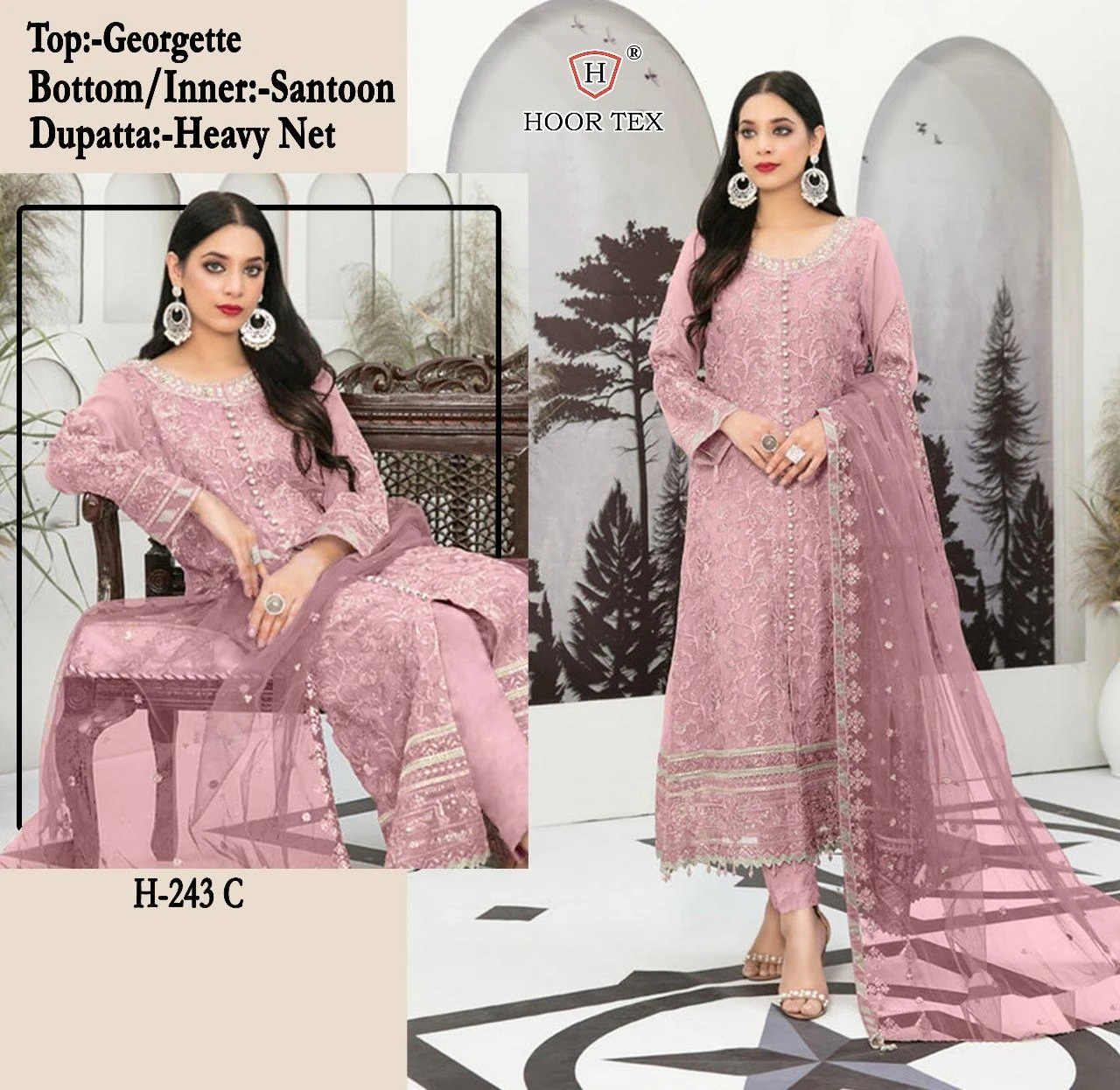 Hoor Tex H-243 Faux Georgette Wholesale Pakistani Salwar Suit Catalog — Wholesale Pakistani Suits, MPA wholesale from Surat - Gallery Image 5